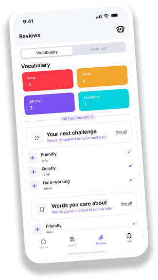 Spaced Repetition Review